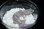 画像2: ニシアフリカトカゲモドキ　ホワイトアウトゴースト (2)