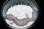 画像2: ニシアフリカトカゲモドキ　ホワイトアウトゴースト (2)