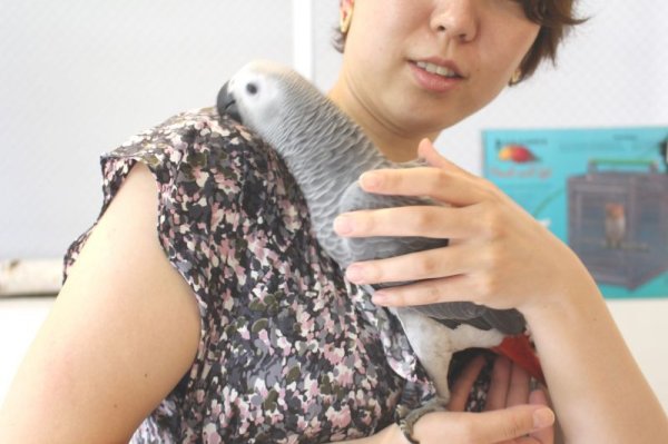 画像6: PHBII1J426女の子お迎え頂きました♪ (6)